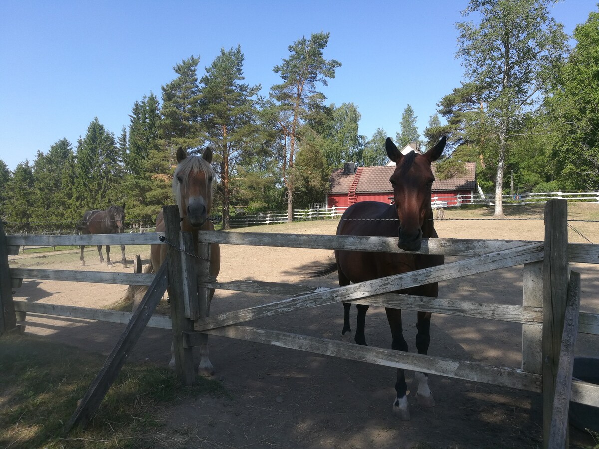 Majoitu maaseudulla hevostilan päärakennuksessa