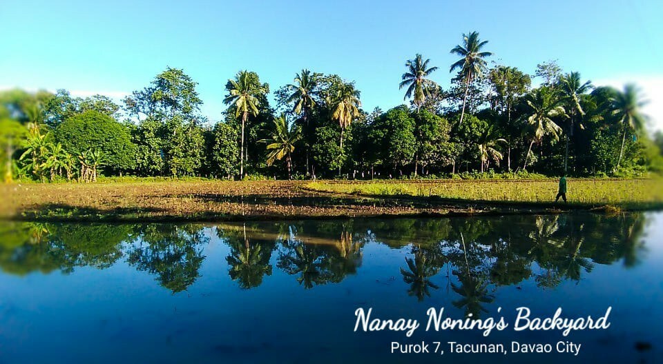 Nanay Noning's Backyard
