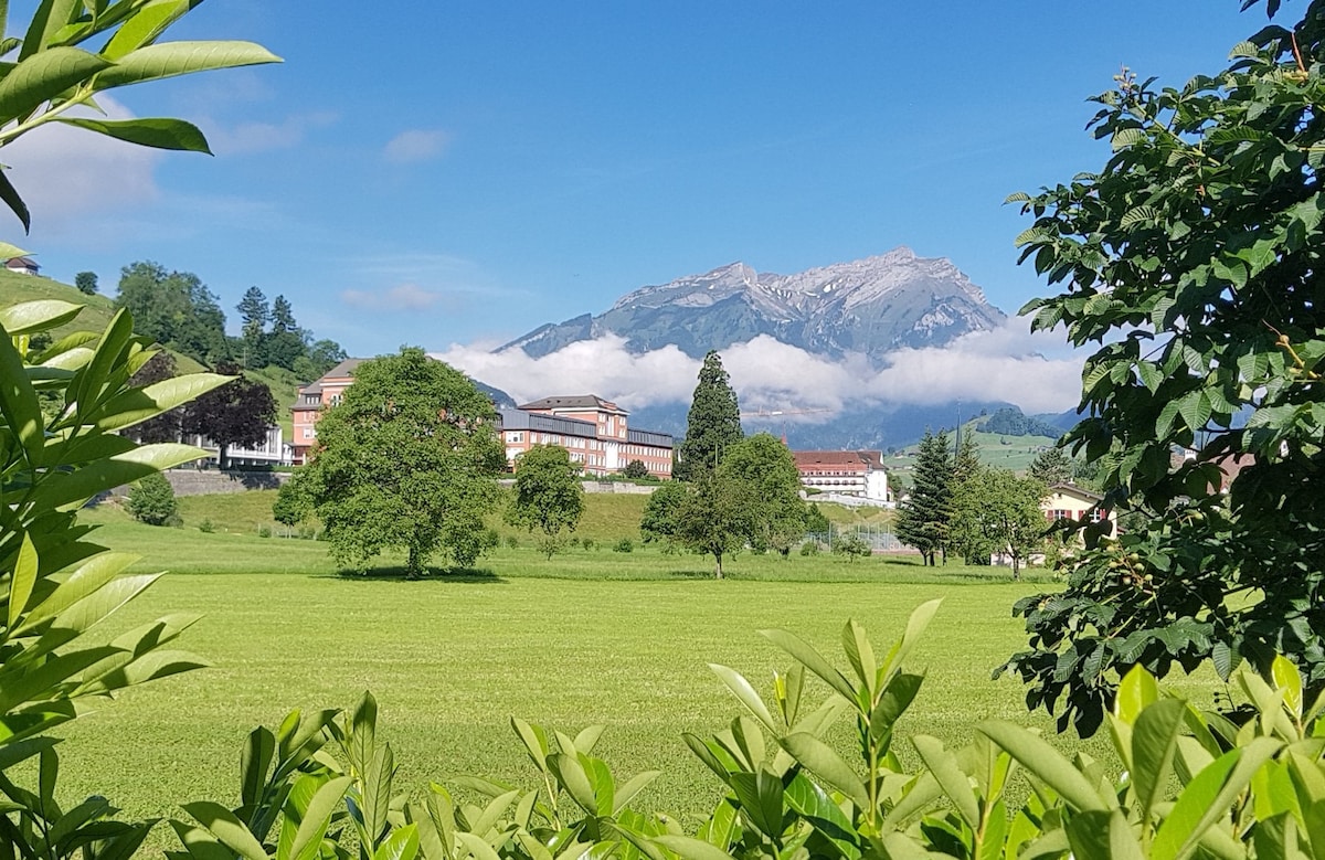 乡村房间，地理位置理想，适合短途旅行