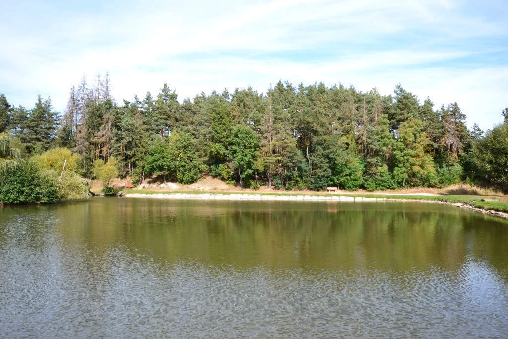 Rybička附近的森林（池塘旁有沐浴水的地方）