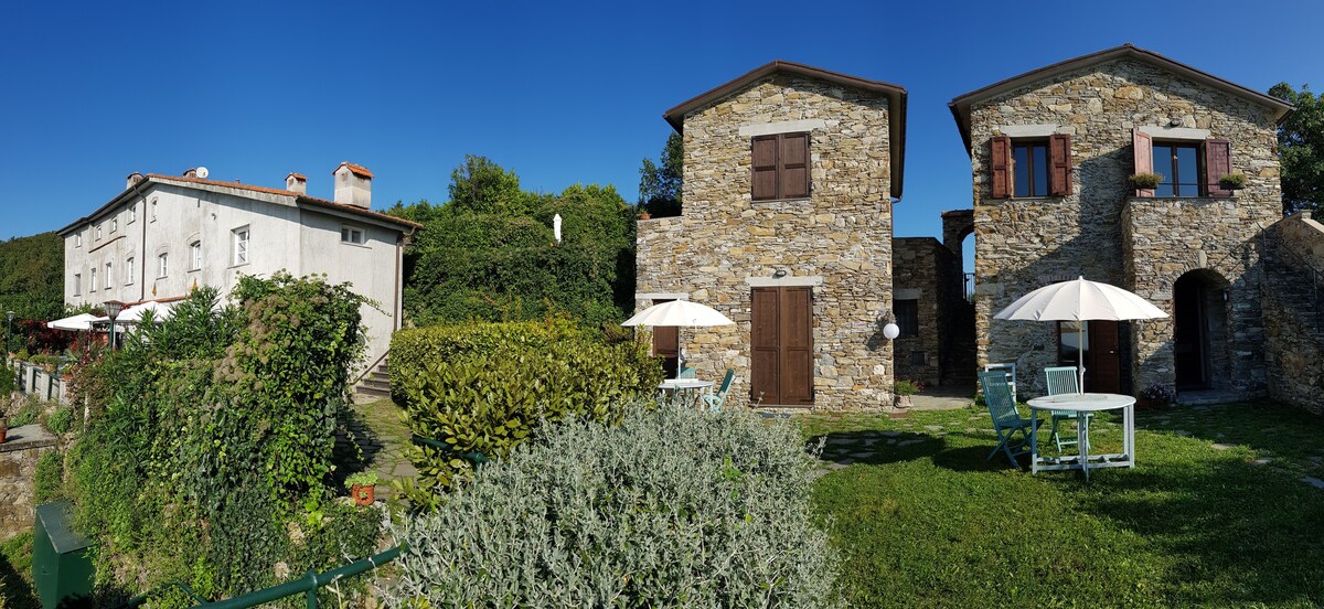 Casale In Vigna ： Oleandro House - CinqueterreCoast