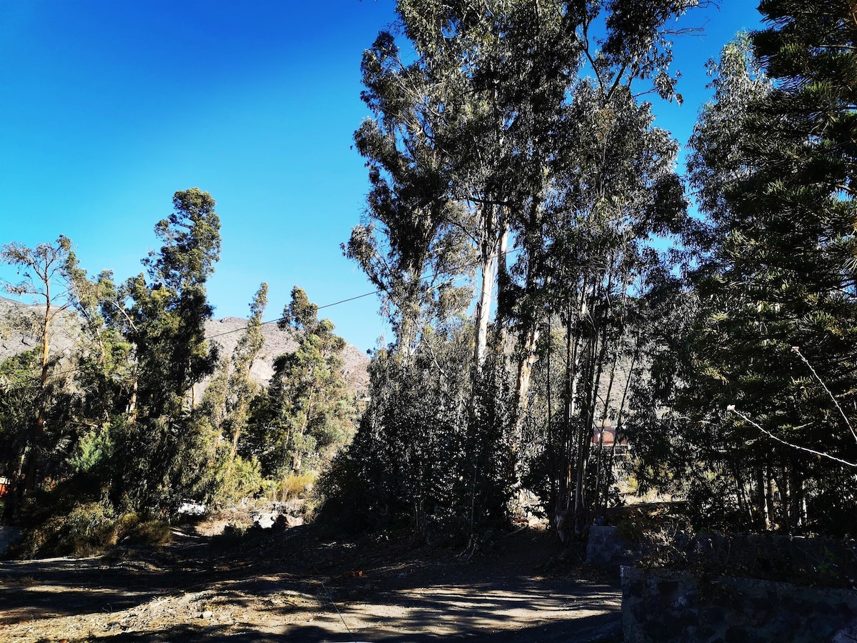 Casa Schwenke, Alto Molle, Valle del Elqui.