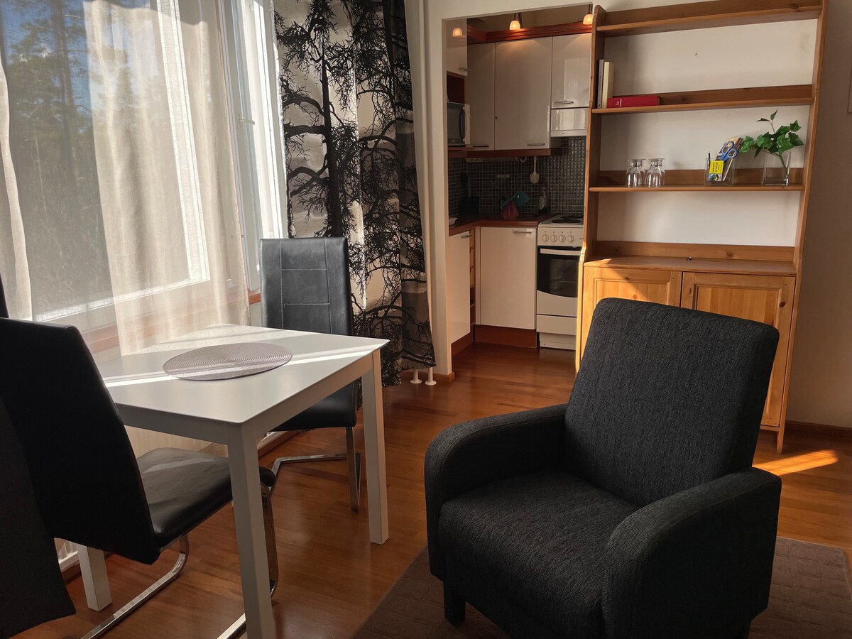 舒适的小型公寓楼（位于Kuusankoski ）