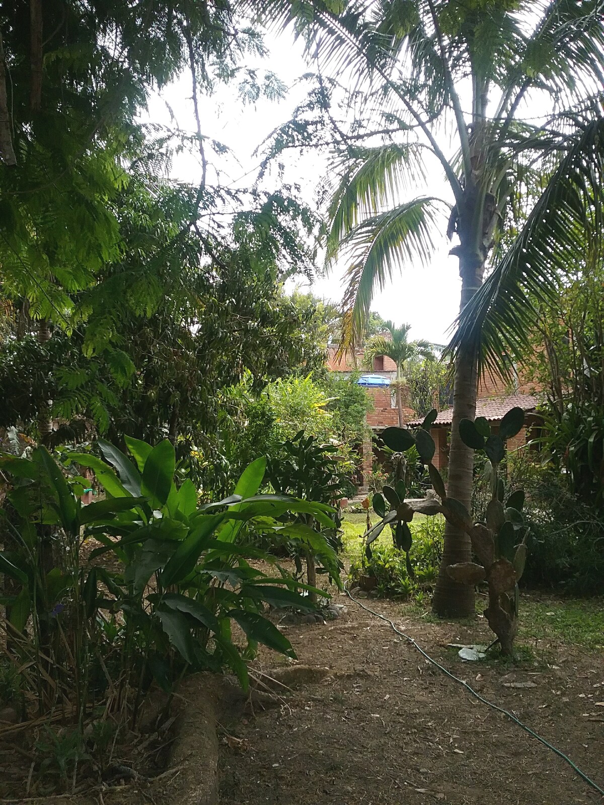 Peaceful cottage in mountains near Puerto Vallarta