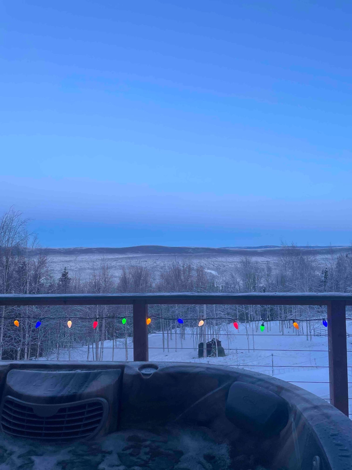 Chickadee Lodge- with view of the Northern Lights!