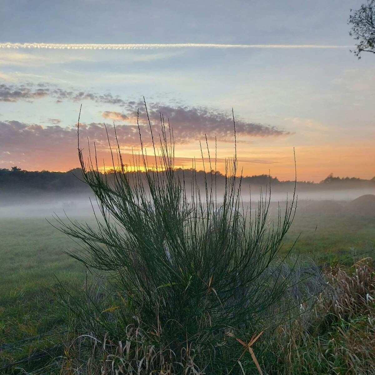 Zielony Zakątek Słajszewo