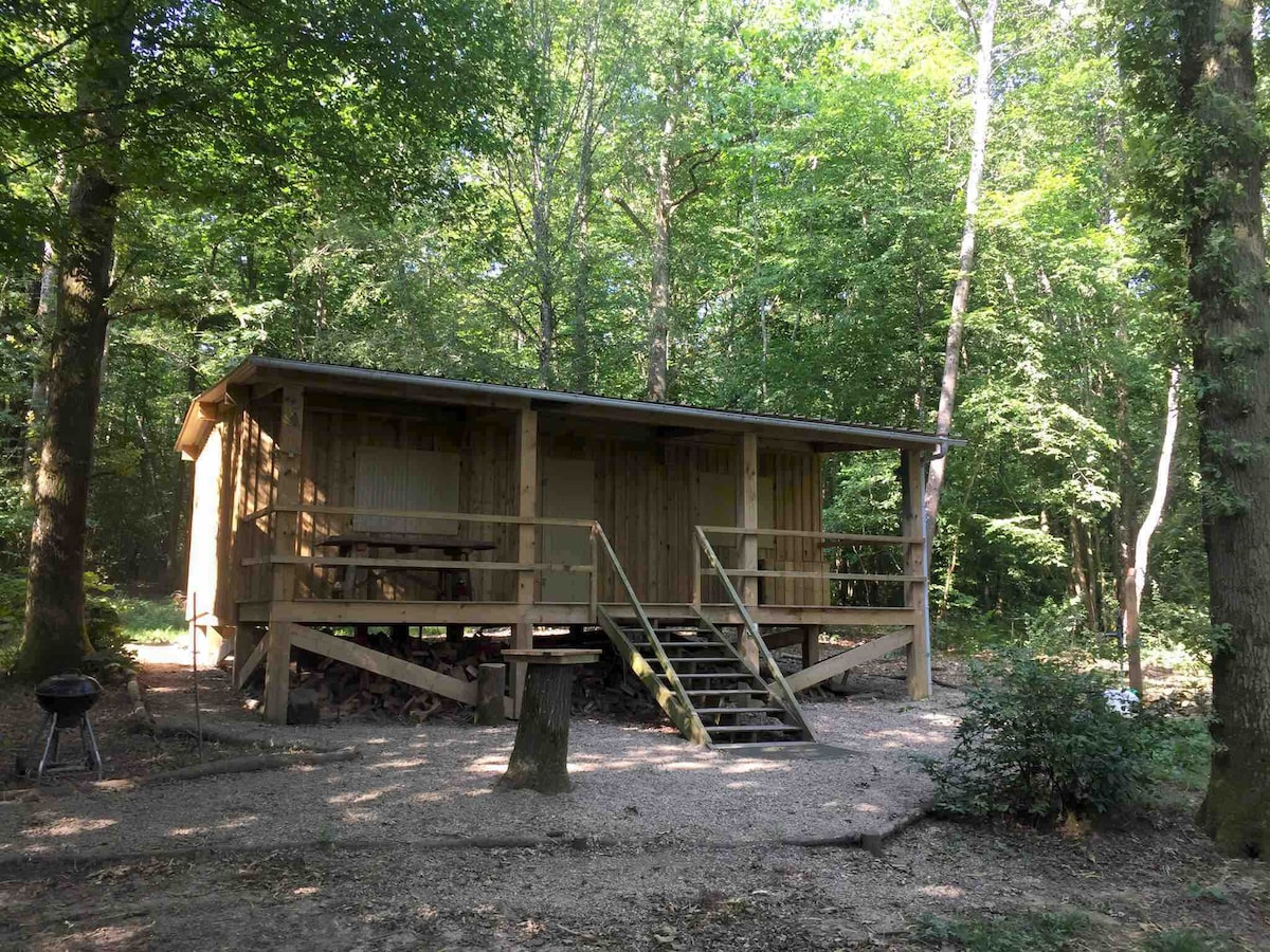 Chalet au Cœur de la forêt