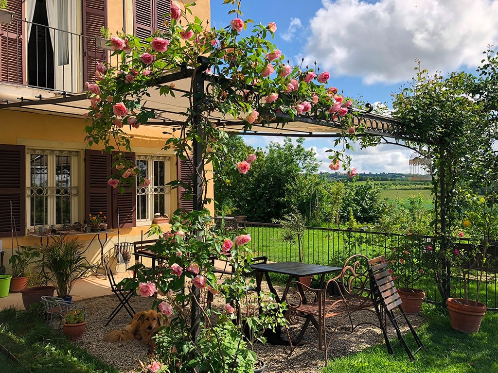 Vicentini's Farm in Monferrato Rose