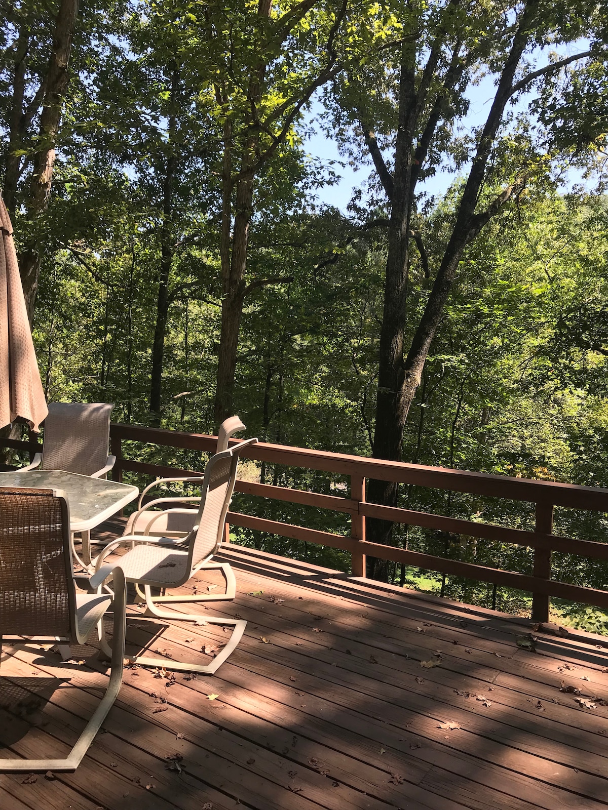 Pumpkin Hollow Tree Top House