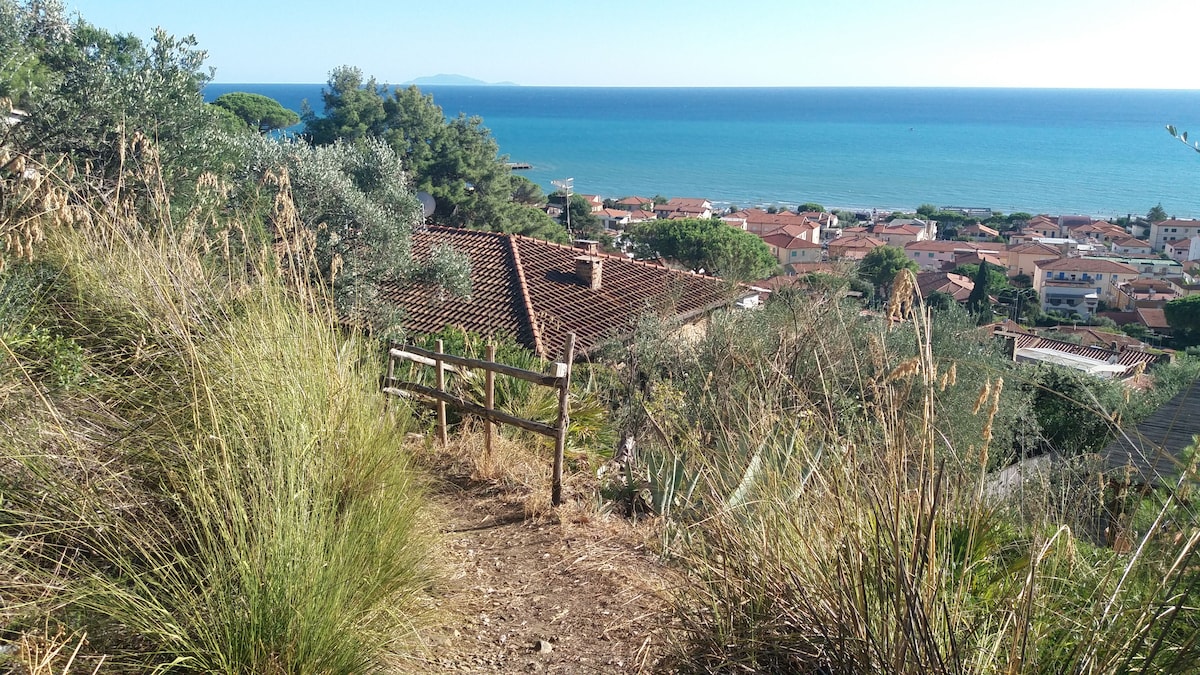 Appartamento Panoramico "Poggio alle Trincee "