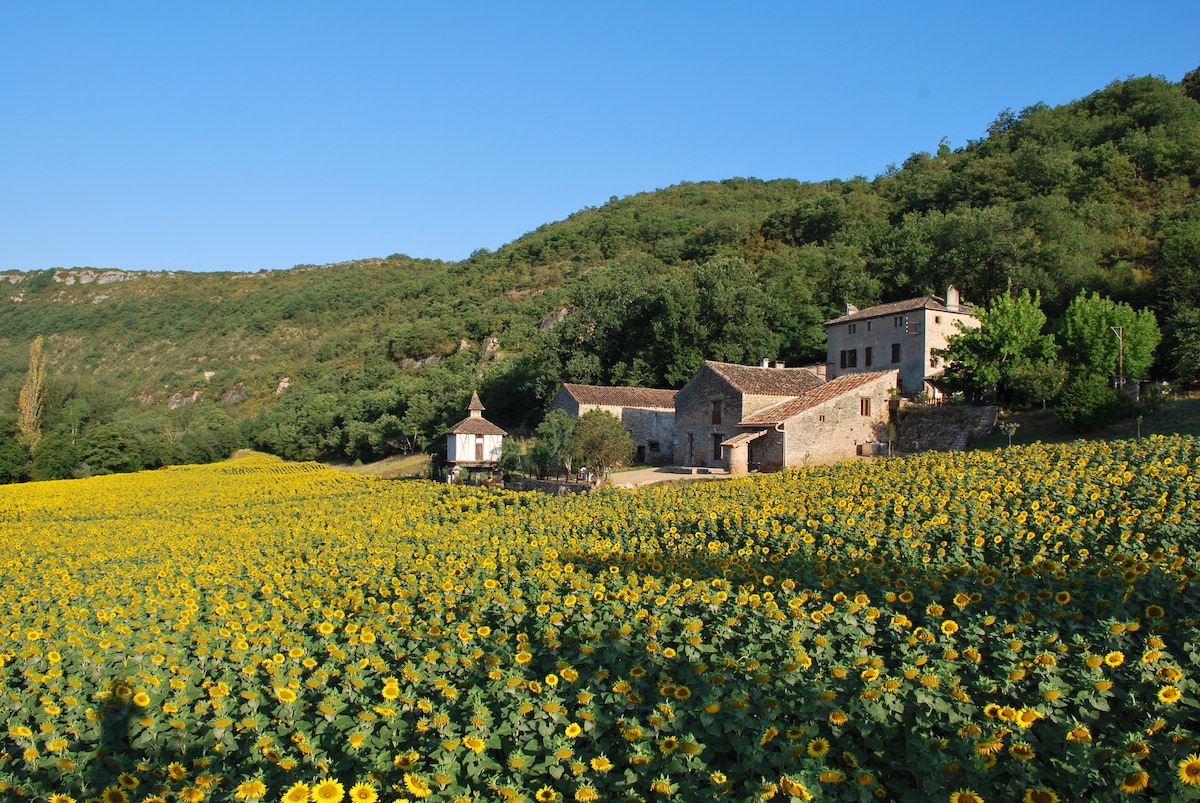 L'Hermitage en Occitanie ，位于Penne的农场