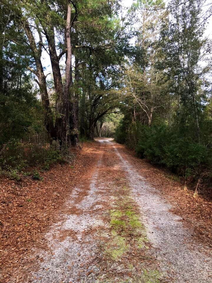 Sweet spot in the woods, 50amp with water & septic