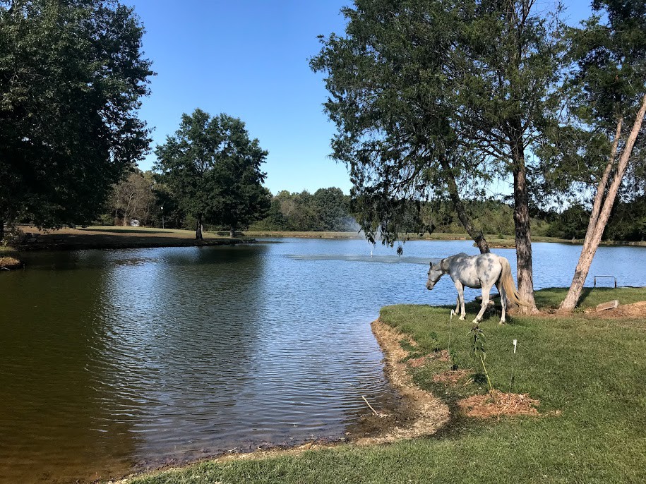 Horse Farm Hideaway