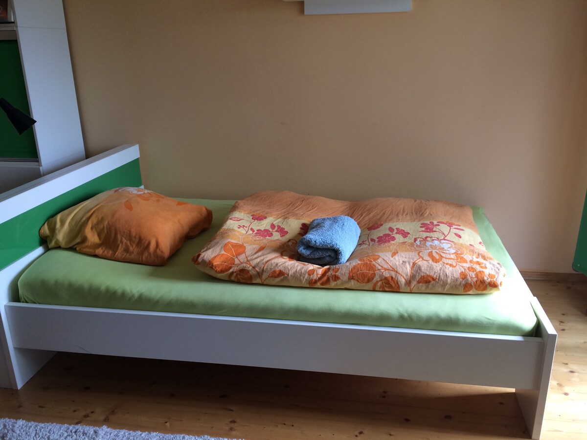 萨尔茨堡市，温馨、安静的房间，仅供学生使用