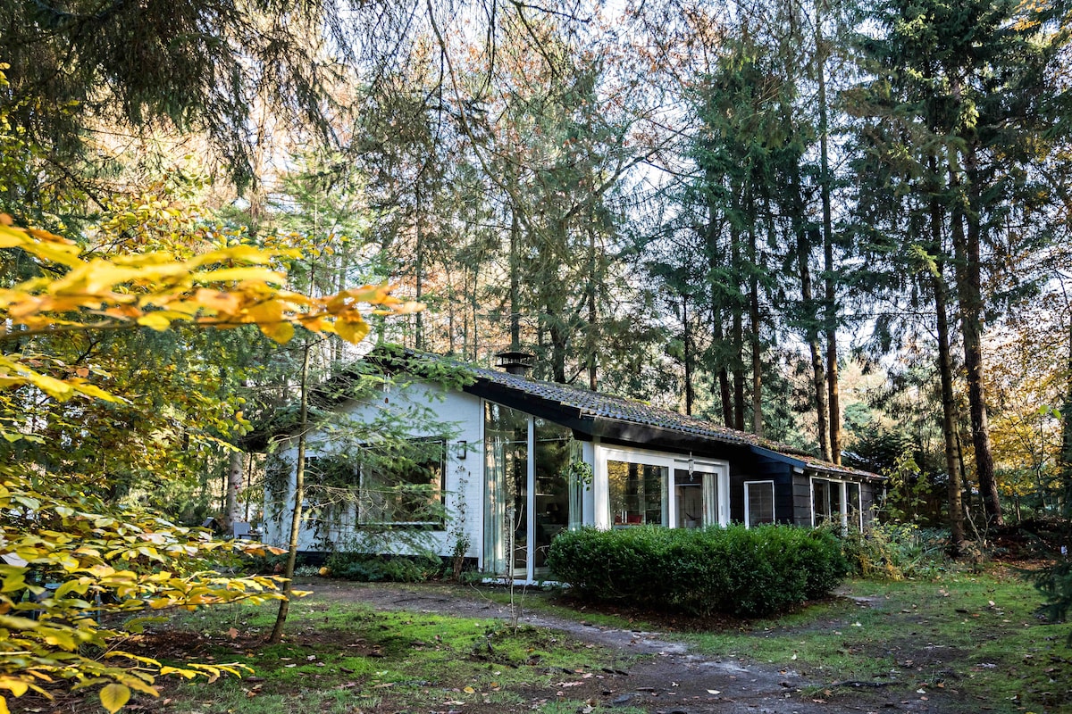 森林浪漫小屋