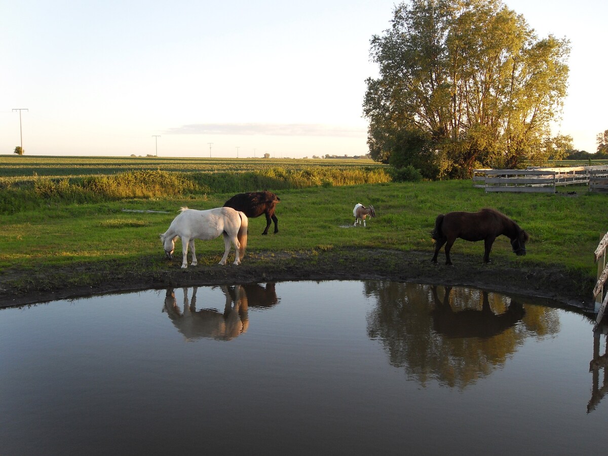 马湖牧场（ Horse Lake Ranch ）的漂亮客房2