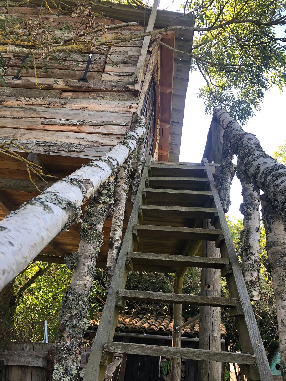 小木屋5米高