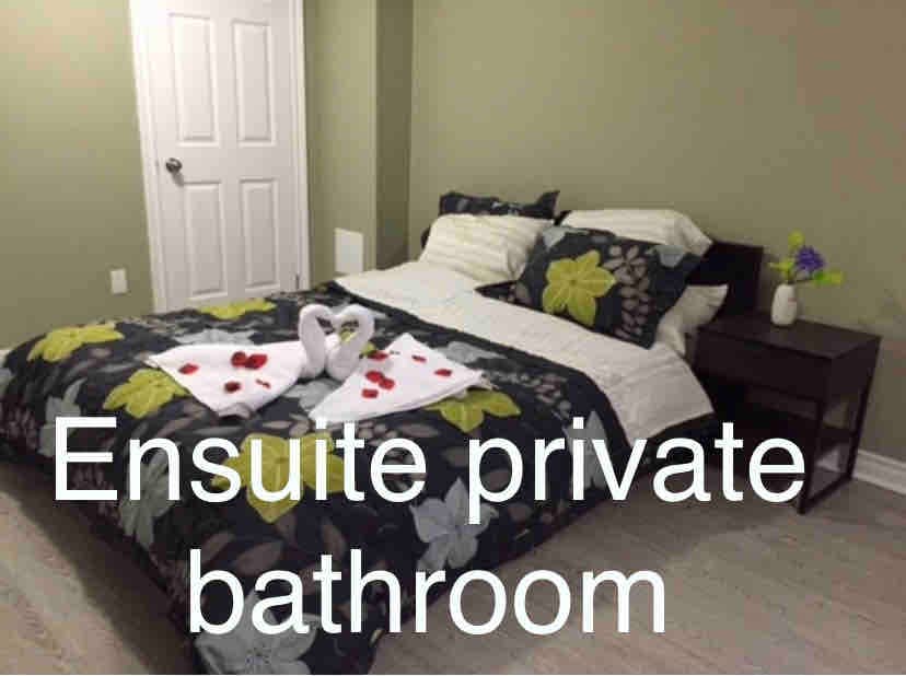 宽敞的一间卧室+客厅独立卫生间