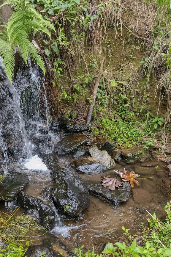 Casinha da Fonte- Caverna do Diabo/ Petar- SP