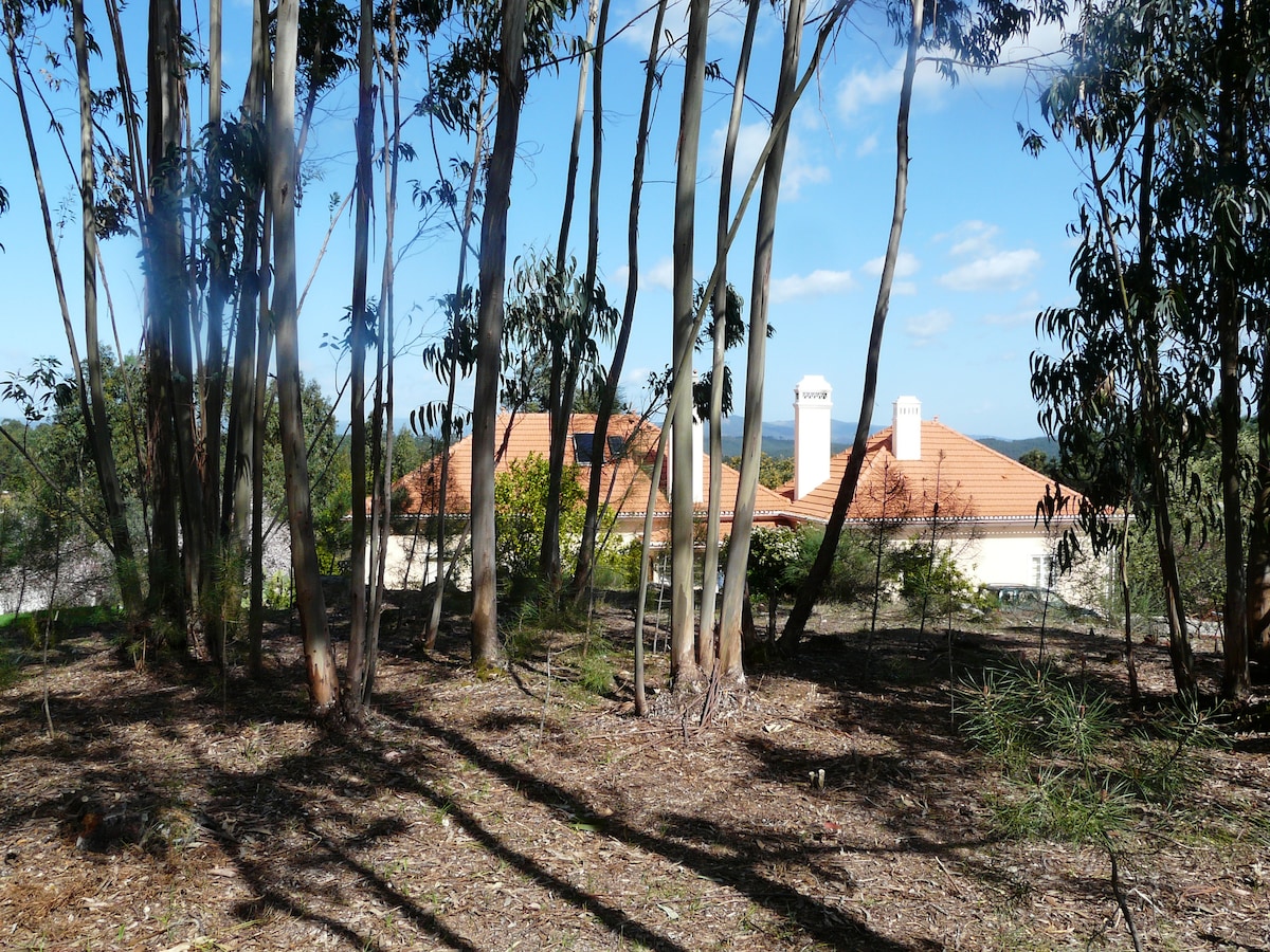 Quinta da Peninha ，可欣赏湖景