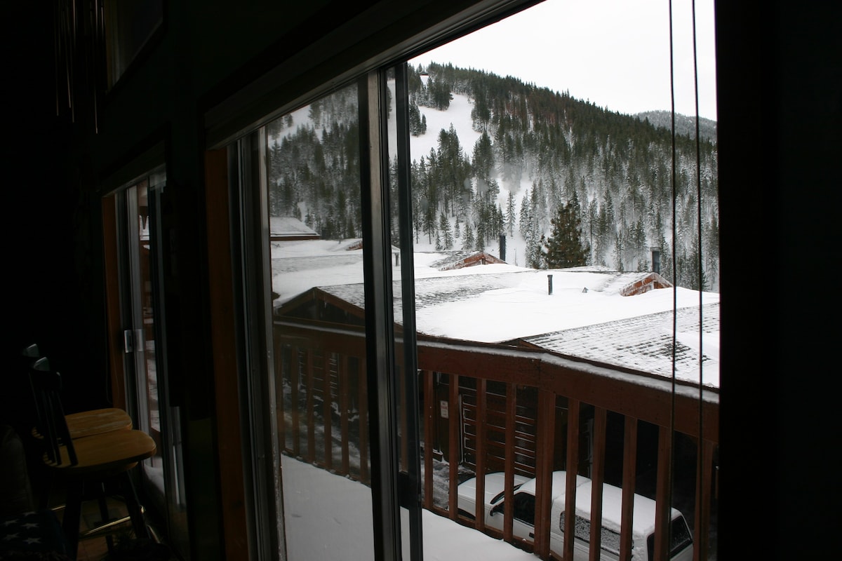 塔霍湖（ Lake Tahoe ）全景景观