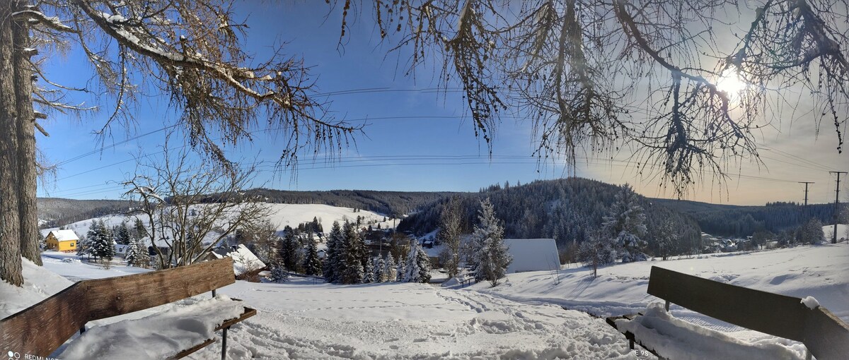 Piesau Thüringerwald Rennsteig