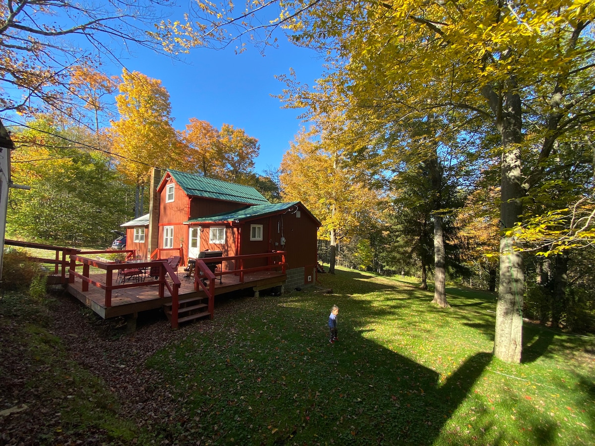 Cherry Springs Coudersport Cabin