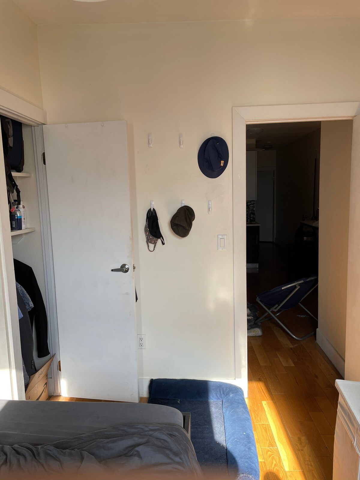 Room in 3 bedroom Williamsburg apt