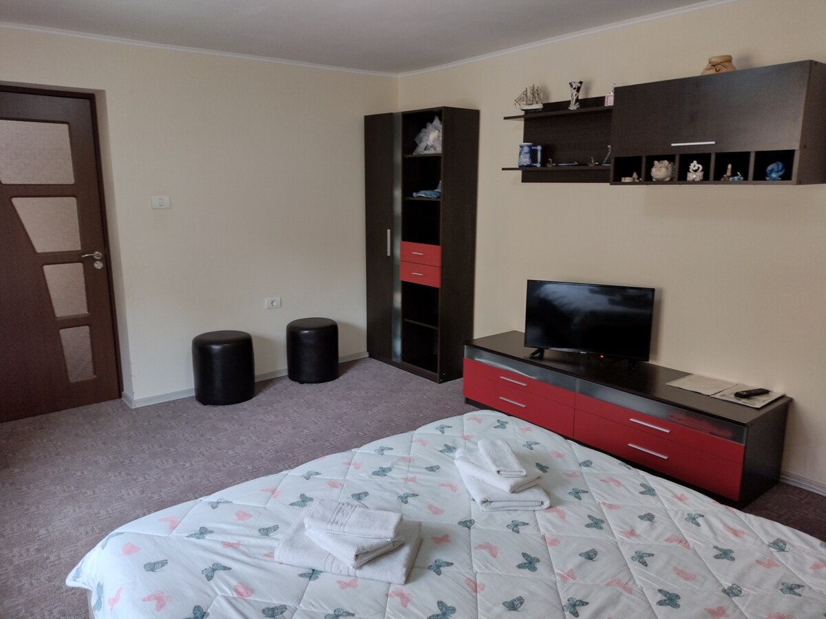 Apartament Mario