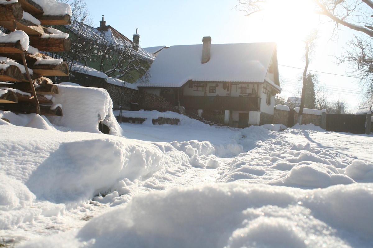 Transylvania的传统Stone House of Maramures