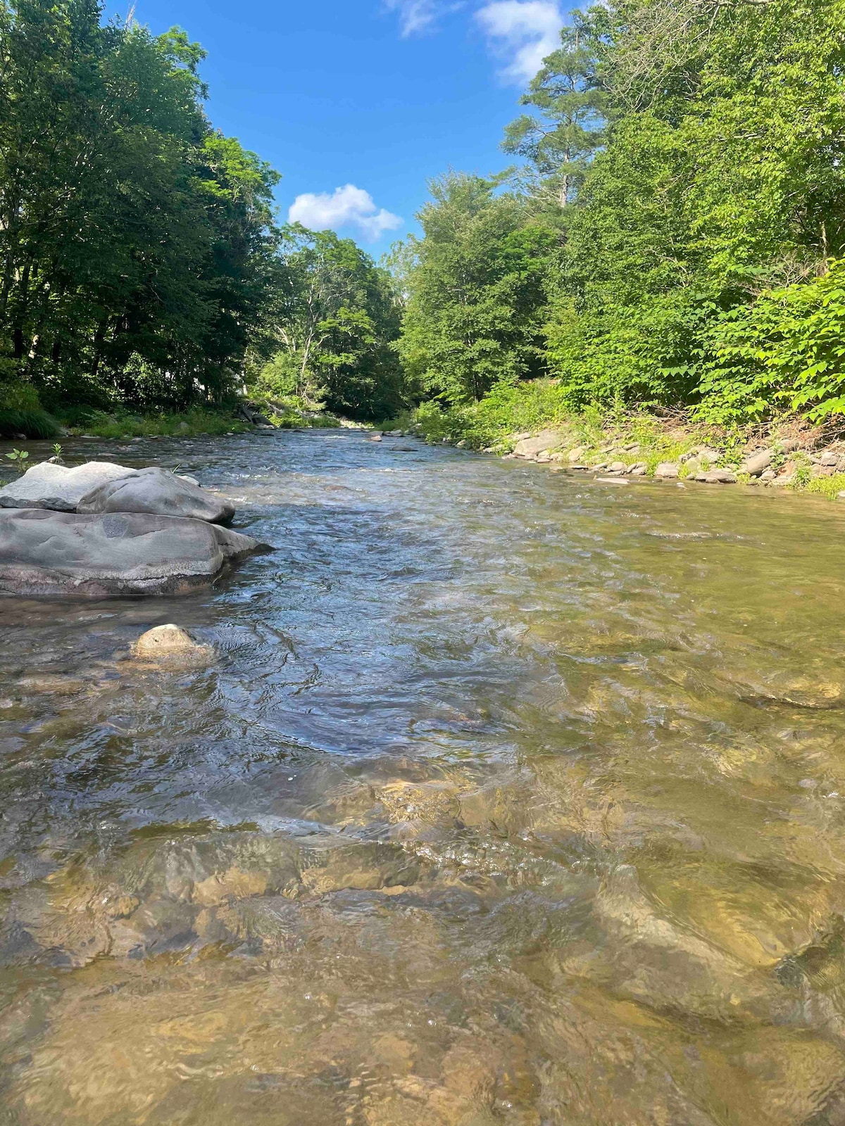 Catskill Mtn Streamside度假胜地