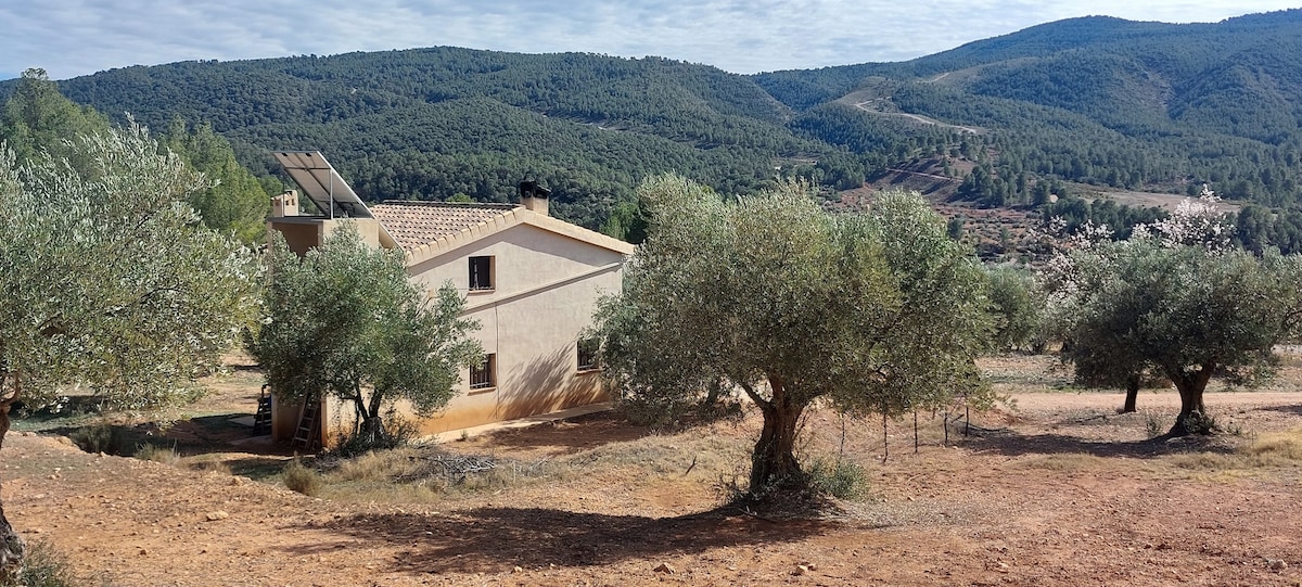 Casa Cabaña de Montaña