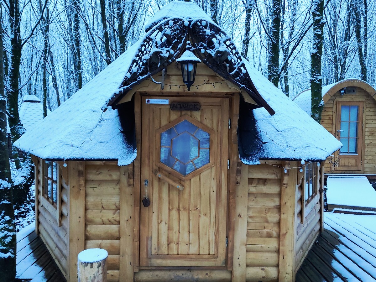 Kota finlandais dans la forêt de Brocéliande