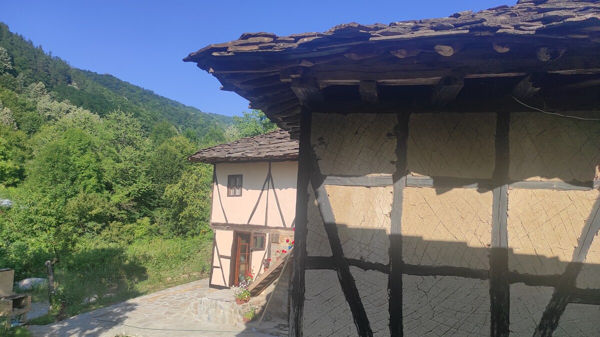 「Baba Elena」生态乡村风格房屋