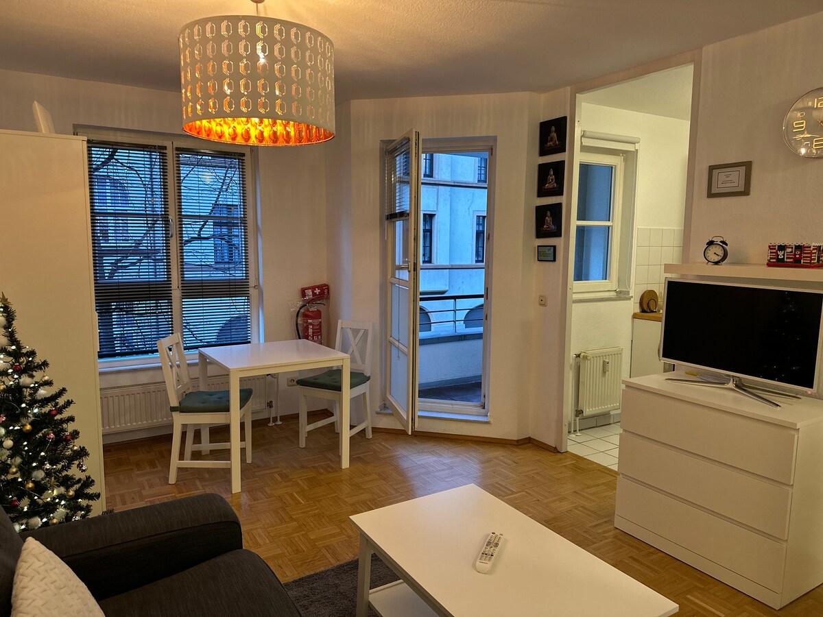 1,5-Zimmer möblierte Wohnung mit Balkon! Toplage!