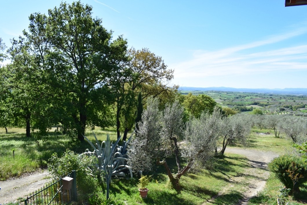 乡村乡村住宅"POGGIO DELLA LESTRA"