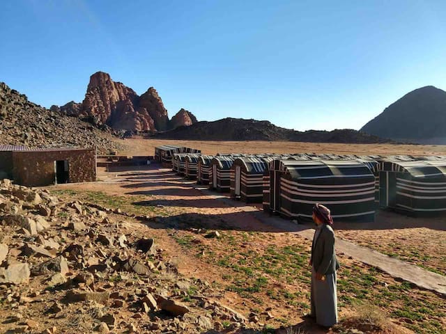 Wadi Rum Village的民宿