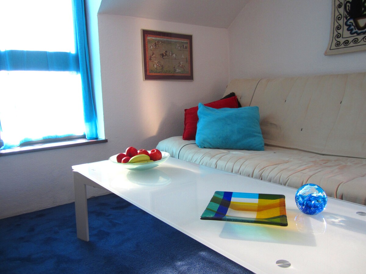舒适的单间公寓Loft "BELLA" Braunschweig城市！