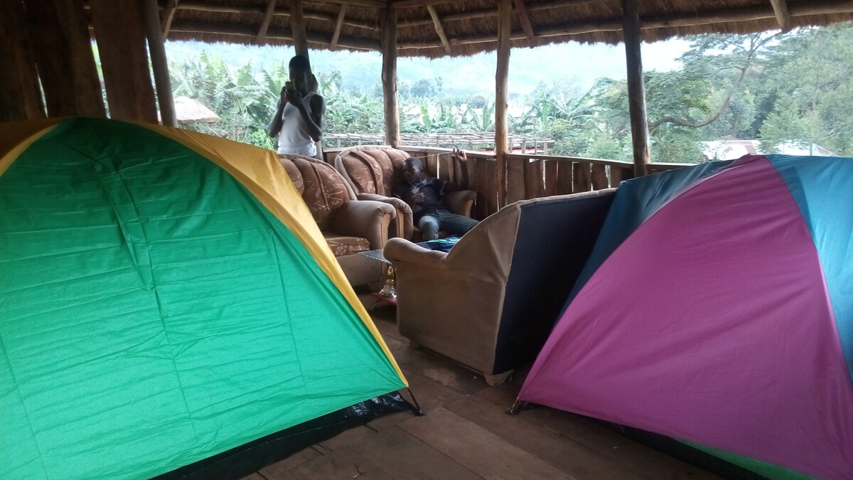 Bwindi nature view campsite