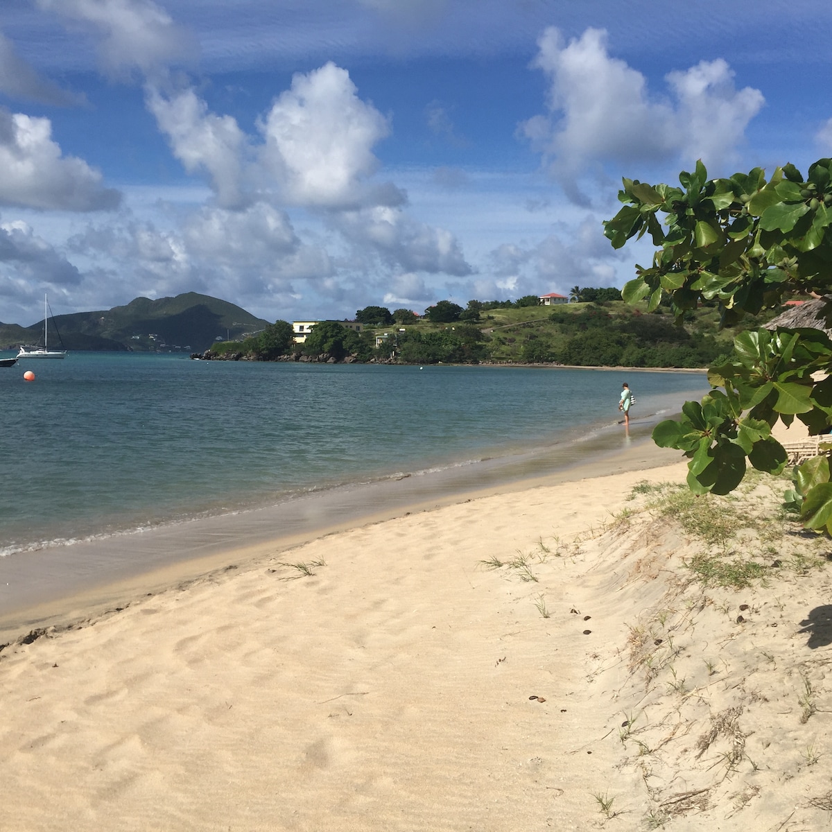 Red Ginger Villa - Amazing Caribbean Views