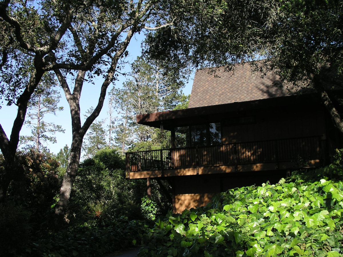 圣克鲁斯（ Santa Cruz ）地区宁静的度假胜地，可入住8人