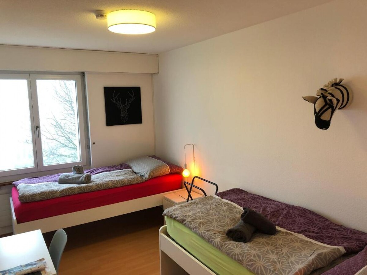 CHEZ SVEN - Solothurn公寓