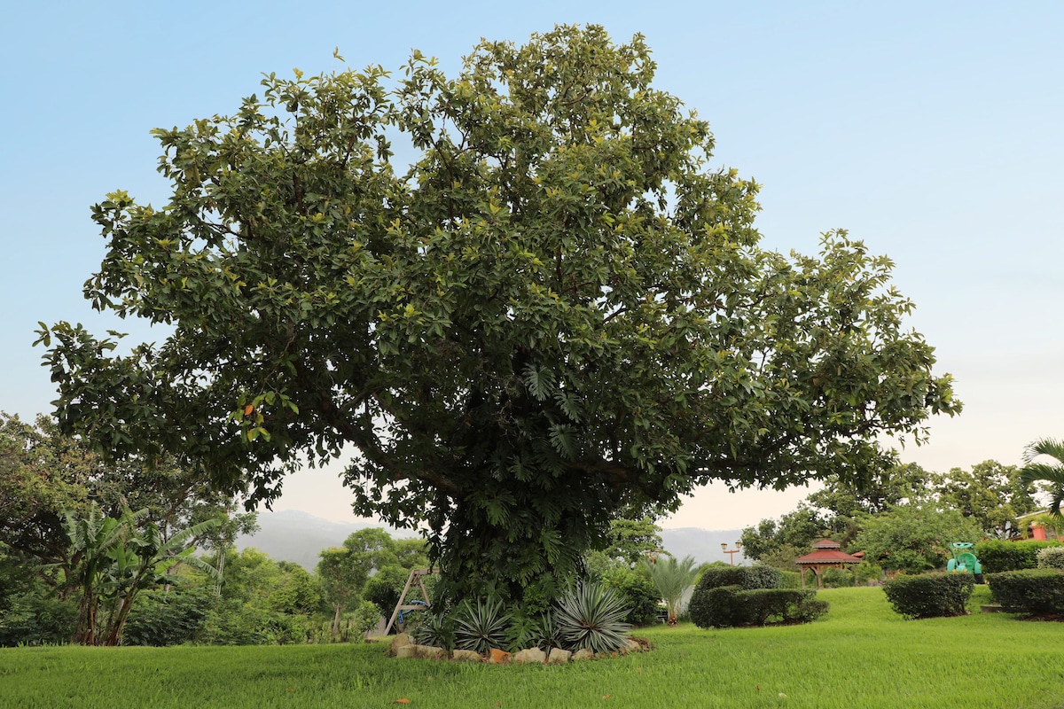 Quinta Cueva de la Loba