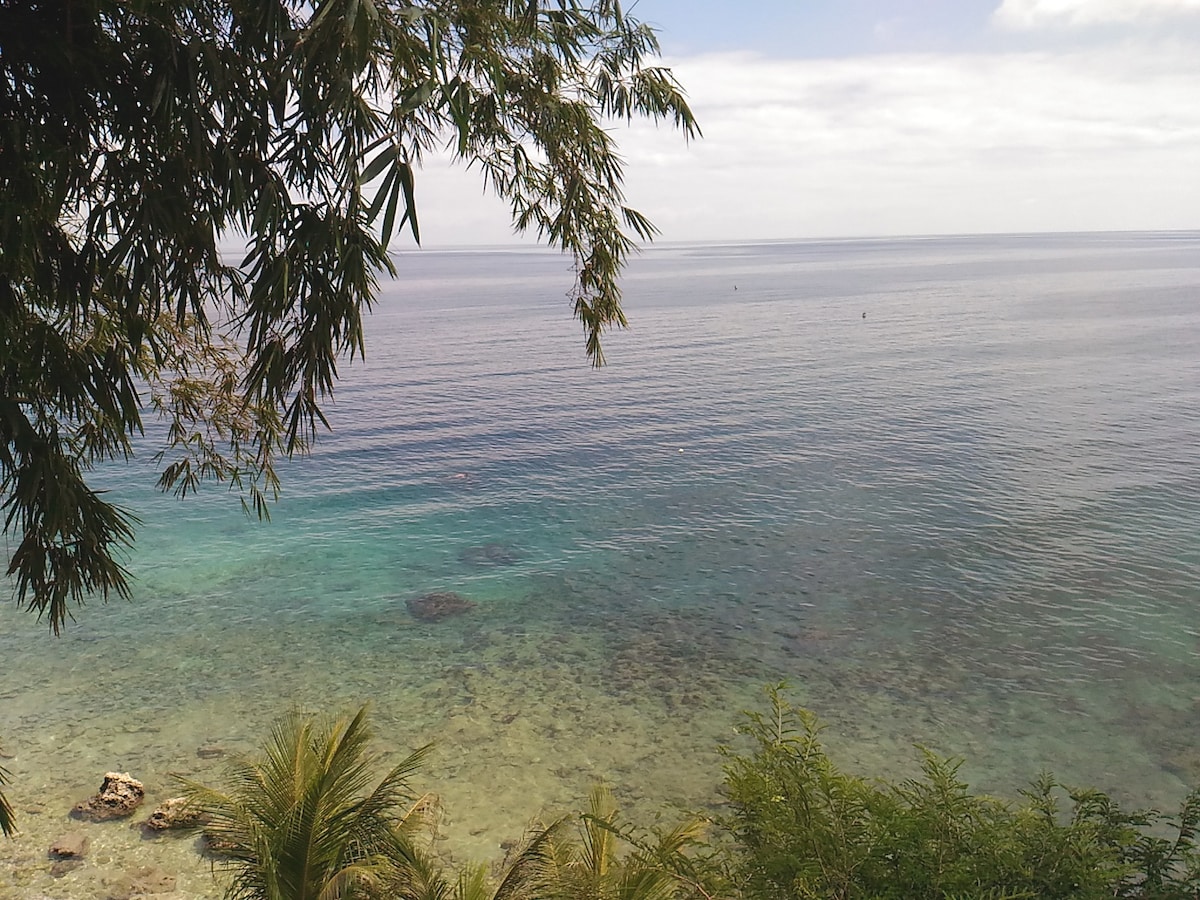 靠近鲸鲨的海景家庭套房