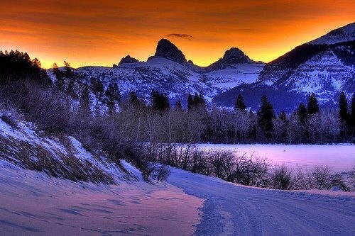 Teton Fields