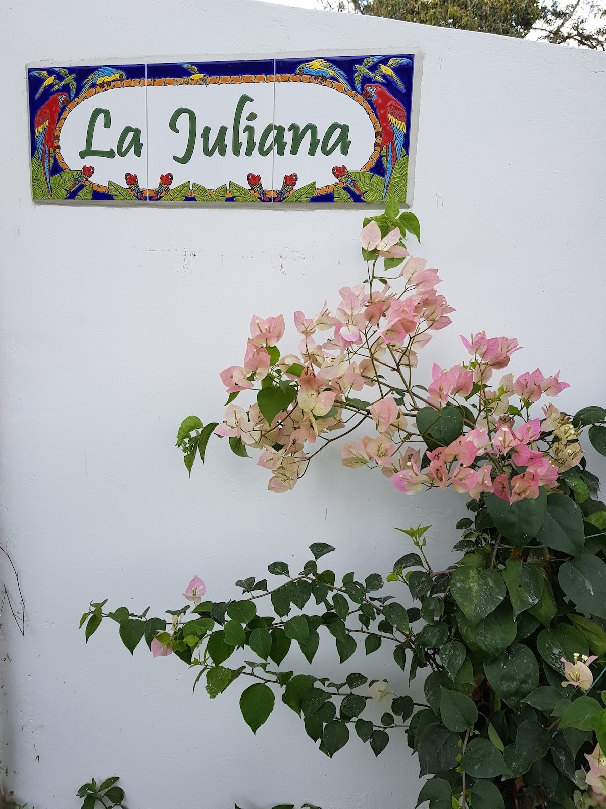 “La Juliana”庄园