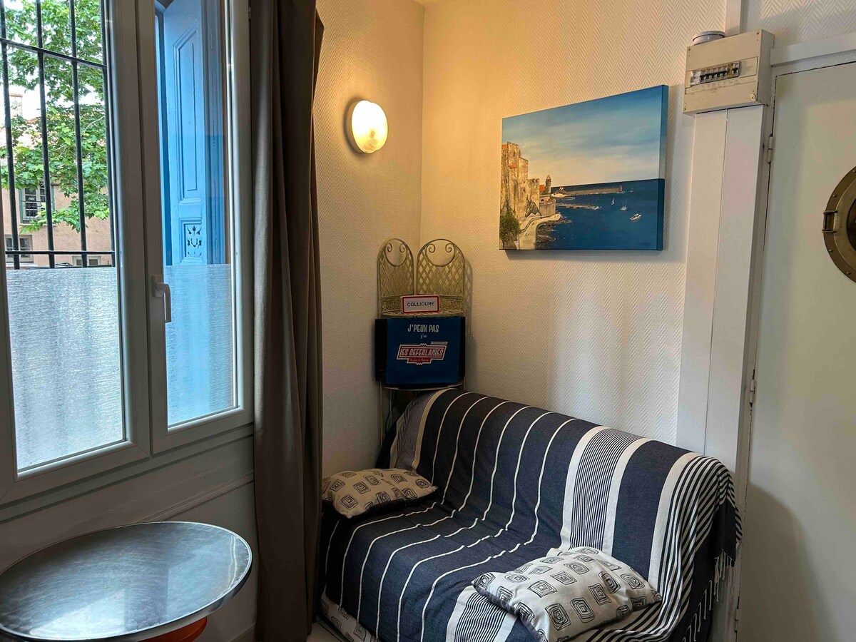 Collioure ：美丽的单间公寓，距离海滩20米/Clim/电视