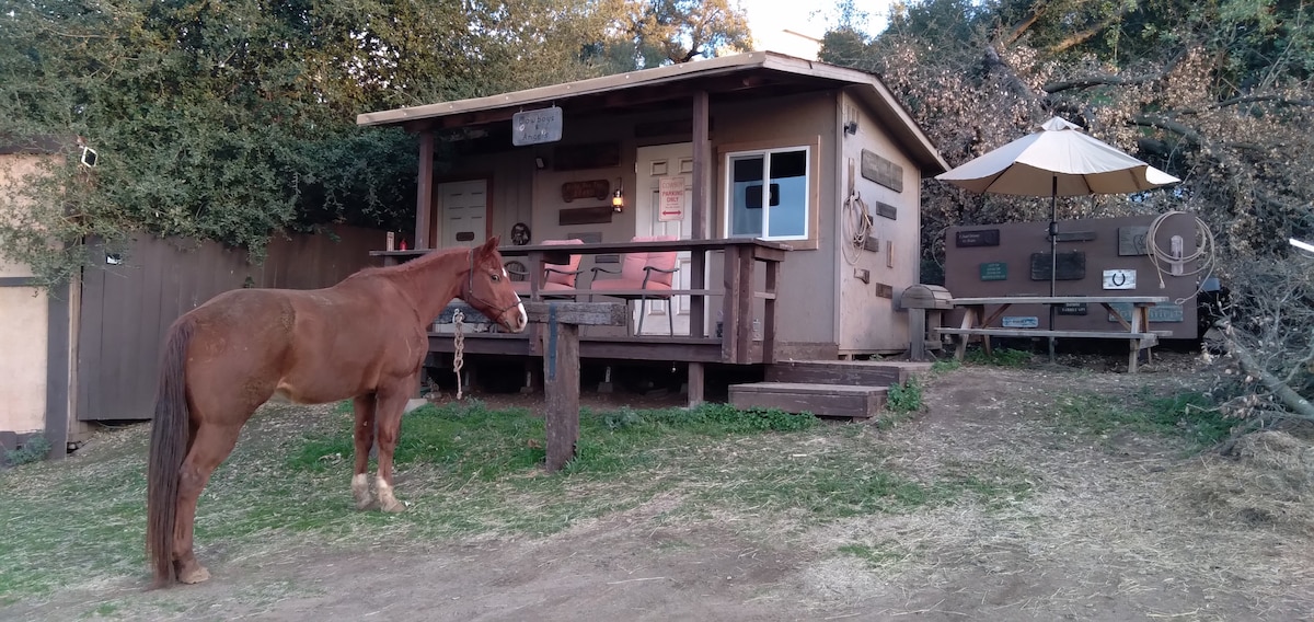 带或不带马匹的Glamping Cabin