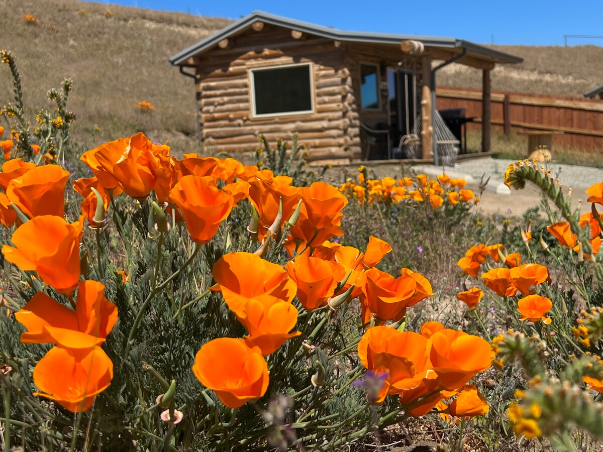 Canyon Muley Buck (a Lone Juniper Ranch Log Cabin)