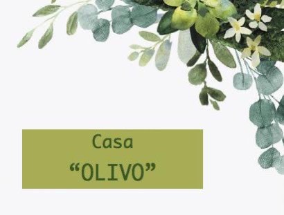温馨完整的Casa Olivo ，地理位置优越